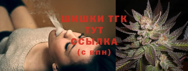 шишки Алексеевка