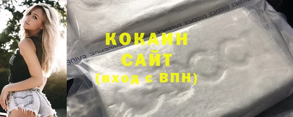 соль ск Алзамай