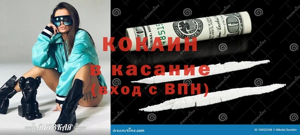 шишки Алексеевка