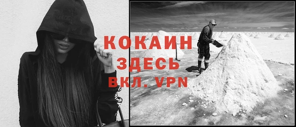 соль ск Алзамай