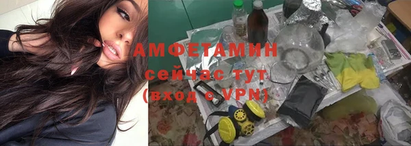 шишки Алексеевка