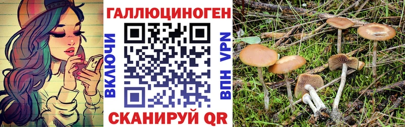 кракен Луза Псилоцибиновые грибы прущие грибы